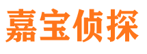 陵县市私家侦探公司